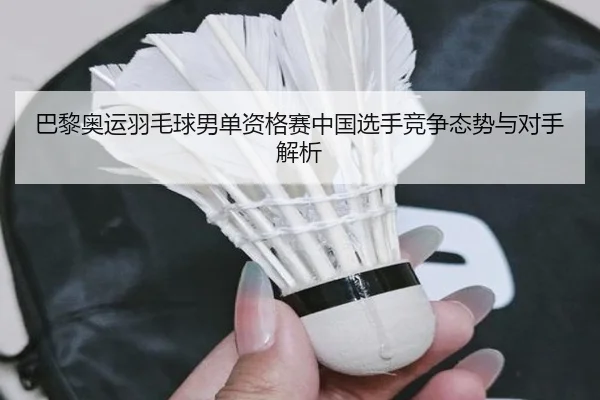 巴黎奥运羽毛球男单资格赛中国选手竞争态势与对手解析